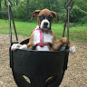 Meet your Posher, Christopher